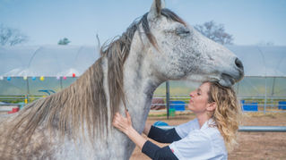 סוסה ואישה בחיבוק רגוע ואוהב