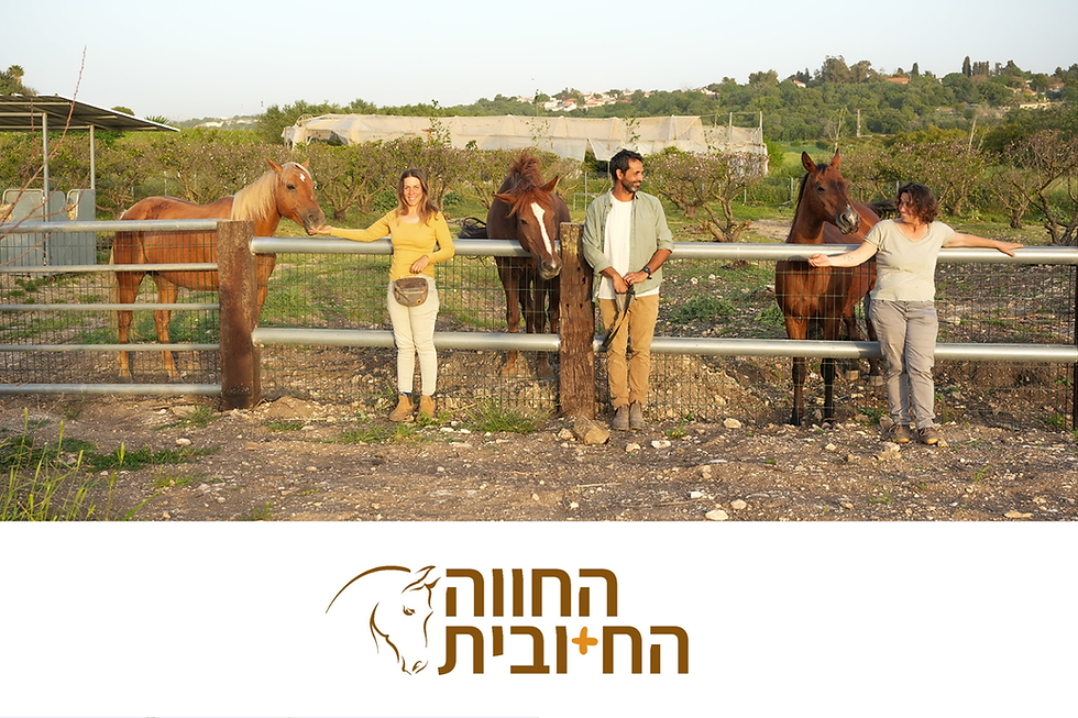 דף תמונות.png