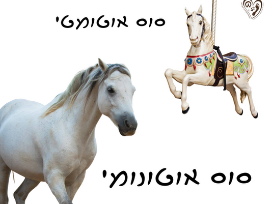 אם לסוסים היו כנפיים