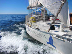 s/v Arctic Tern