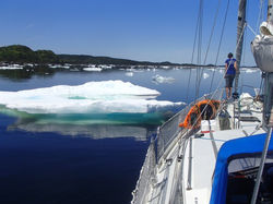 s/v Arctic Tern