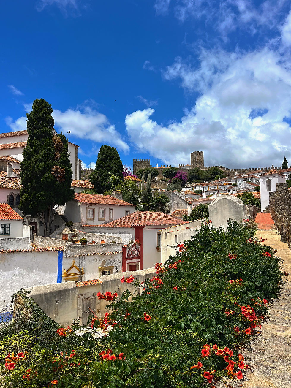 Scenic overlook from Óbidos’ medieval walls, featuring colorful flowers and a hilltop church beyond.