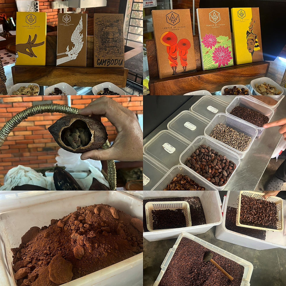 Collage of six images from Wat Chocolate Factory in Cambodia, featuring cacao beans, cacao powder, chocolate bars on display, and freshly made chocolate.