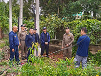 ท้องฟ้าสีฟ้าคราม