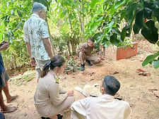 ท้องฟ้าสีฟ้าคราม