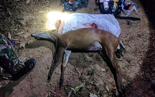 กล่องสีข