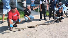 ท้องฟ้าสีฟ้าคราม