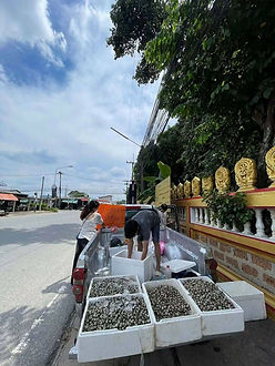 กล่องสีขาว.jpg