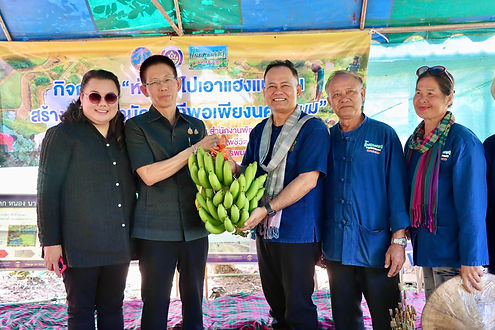 กล่องสีขาว.jpg