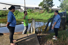 ท้องฟ้าสีฟ้าคราม
