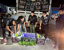 ท้องฟ้าสีฟ้าคราม
