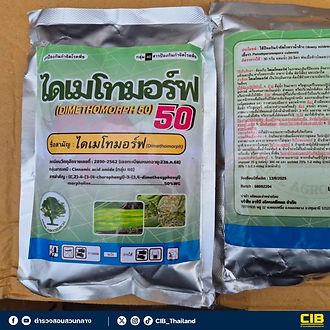 กล่องสีขาว.jpg