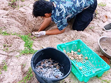 ท้องฟ้าสีฟ้าคราม