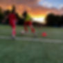 17961105530812250.jpg