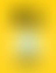 Book Release: The Essential A.I. & Data Science Handbook for Recruitment