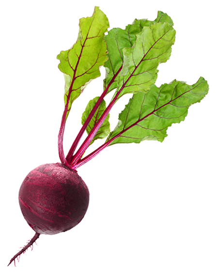 beet_PNG18.png
