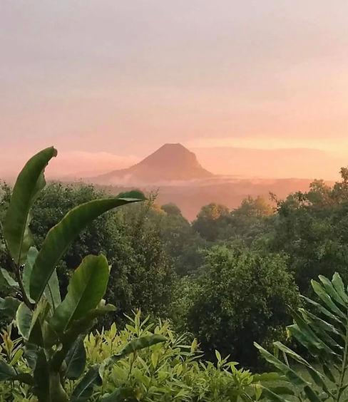 Mt Cooroora.jpeg
