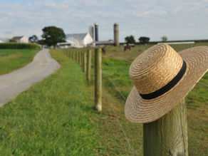 A Shocking Display of Human Forgiveness