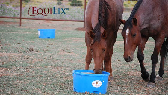 EquiLix Blocks by SweetPro