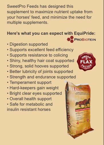 Thumbnail: EquiPride by SweetPro