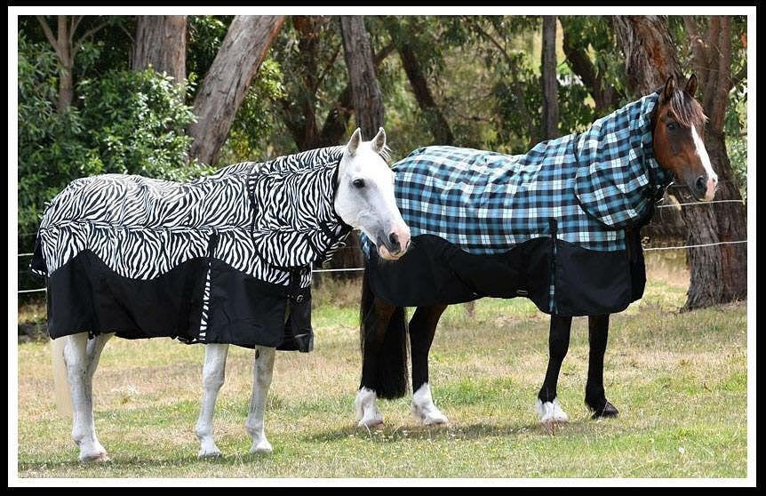 Mini Medium Winter Combo (200g)