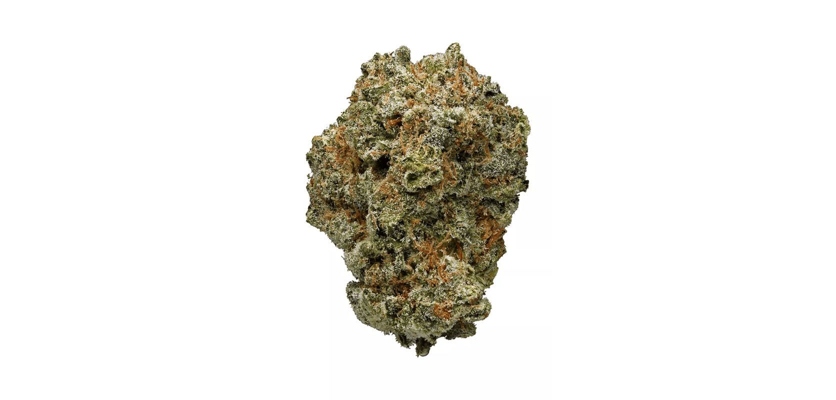 Grape Stomper