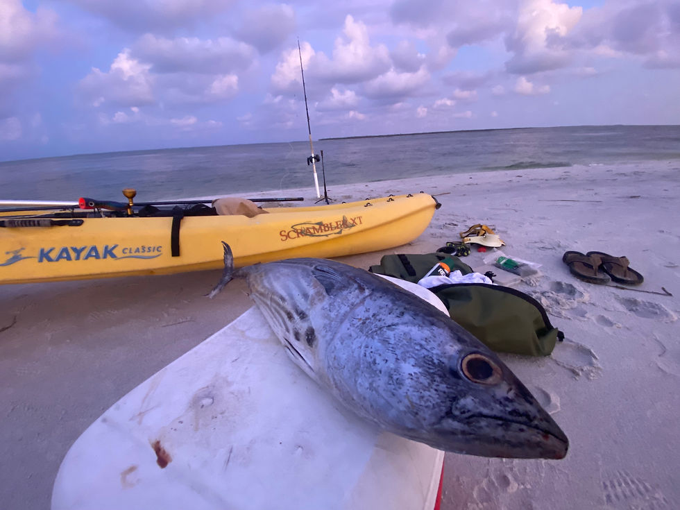 goliath grouper rig