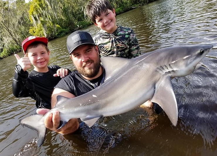 freshwater bull shark