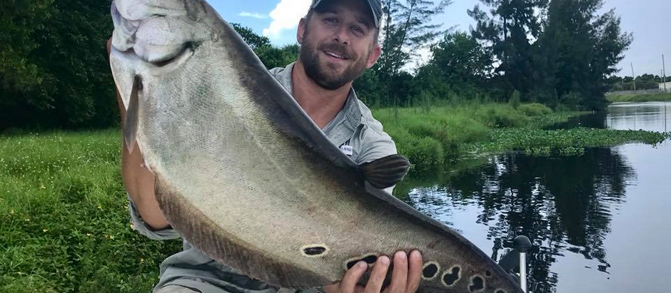 Clown Knife Fish: Is This the Most Unique Exotic Species in the US?