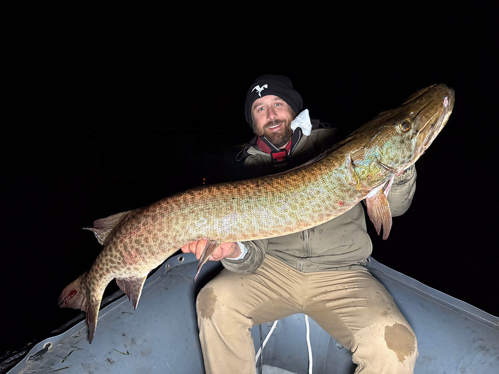 giant musky