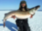 ice fishing for musky