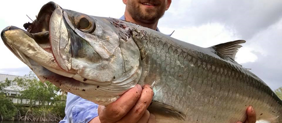 The Tamiami Trail: The Fishing Spectrum of the Everglades