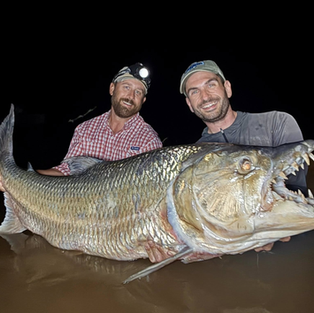 Goliath Tigerfish