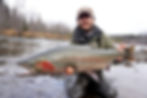 Alaskan Steelhead