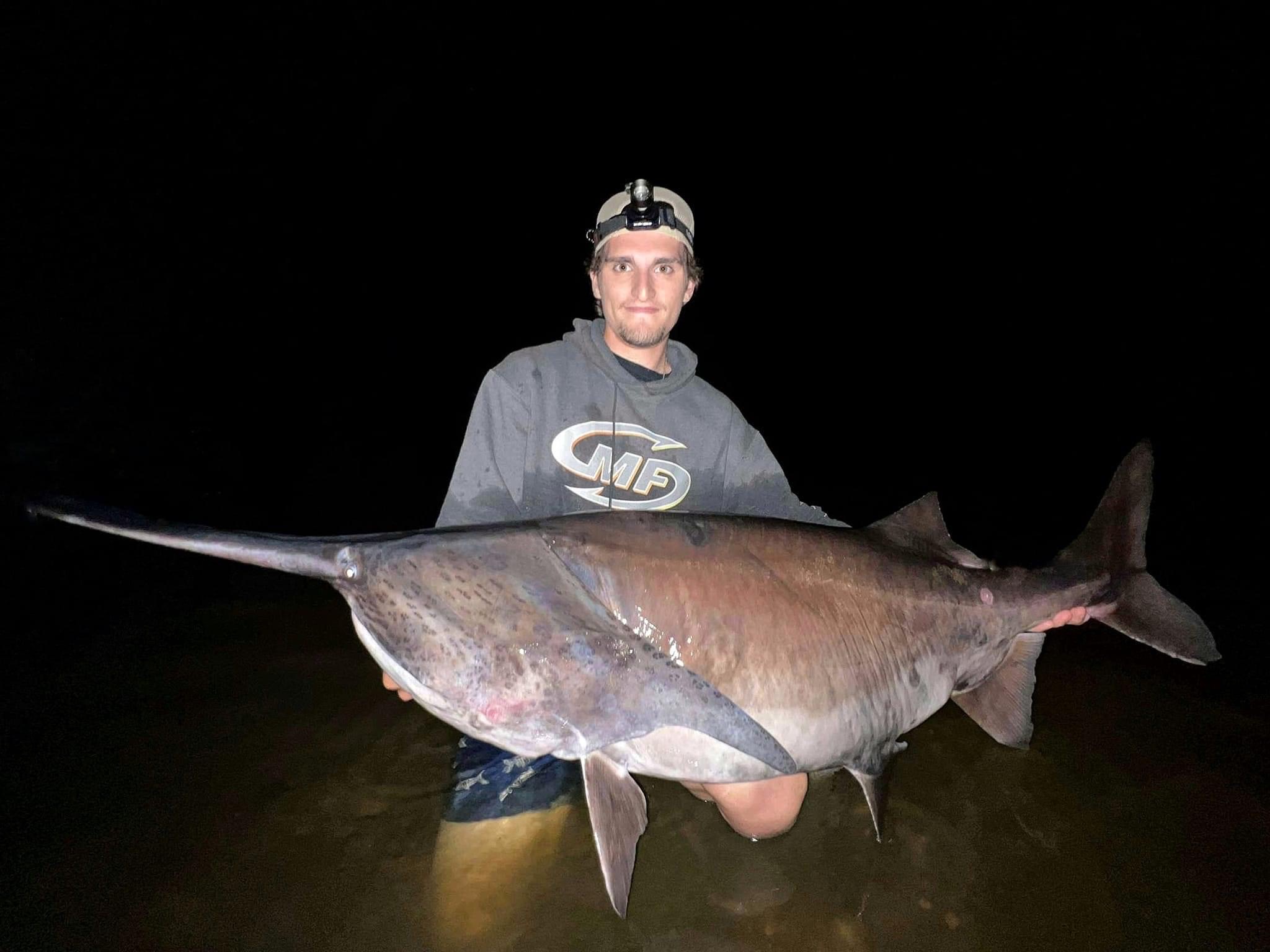 Chasing The Paddlefish