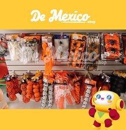 WhatsApp Image 2025-10-28 at 2.15.57 PM (4)