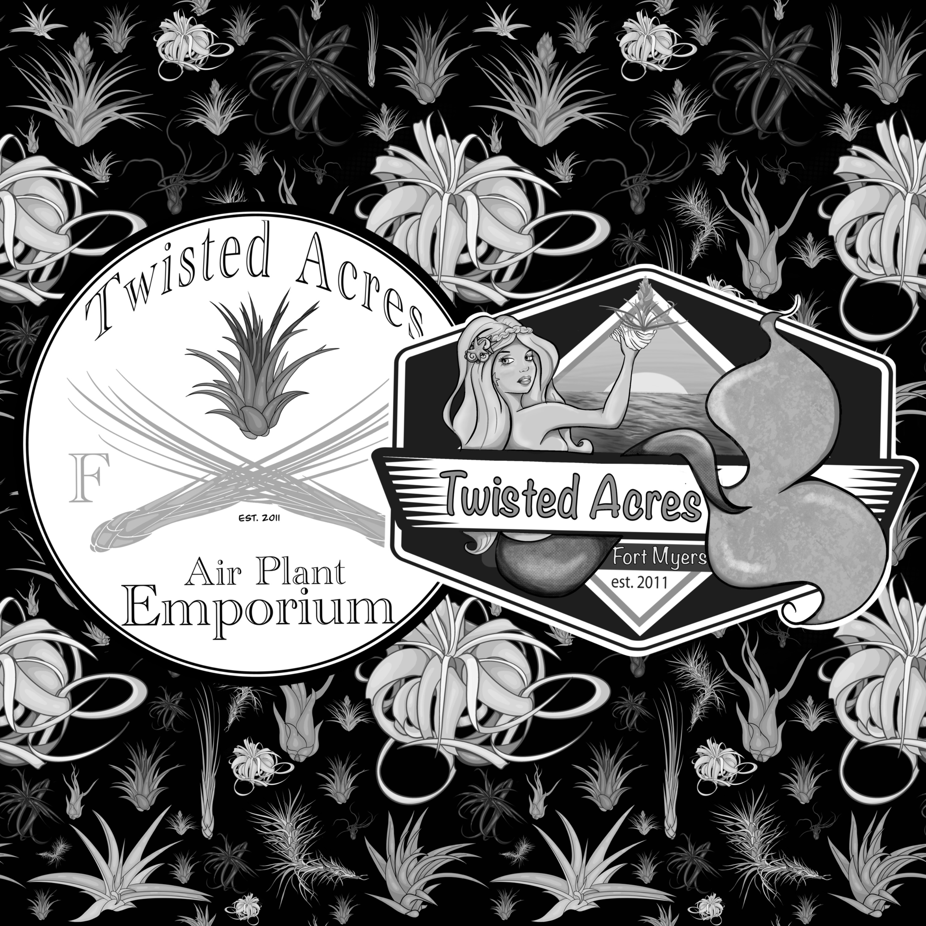 air plant emporium twisted acres emporium logo