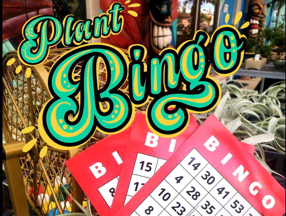 Plant Bingo