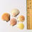 Thumbnail: Pectin Sea Shell Set of 5