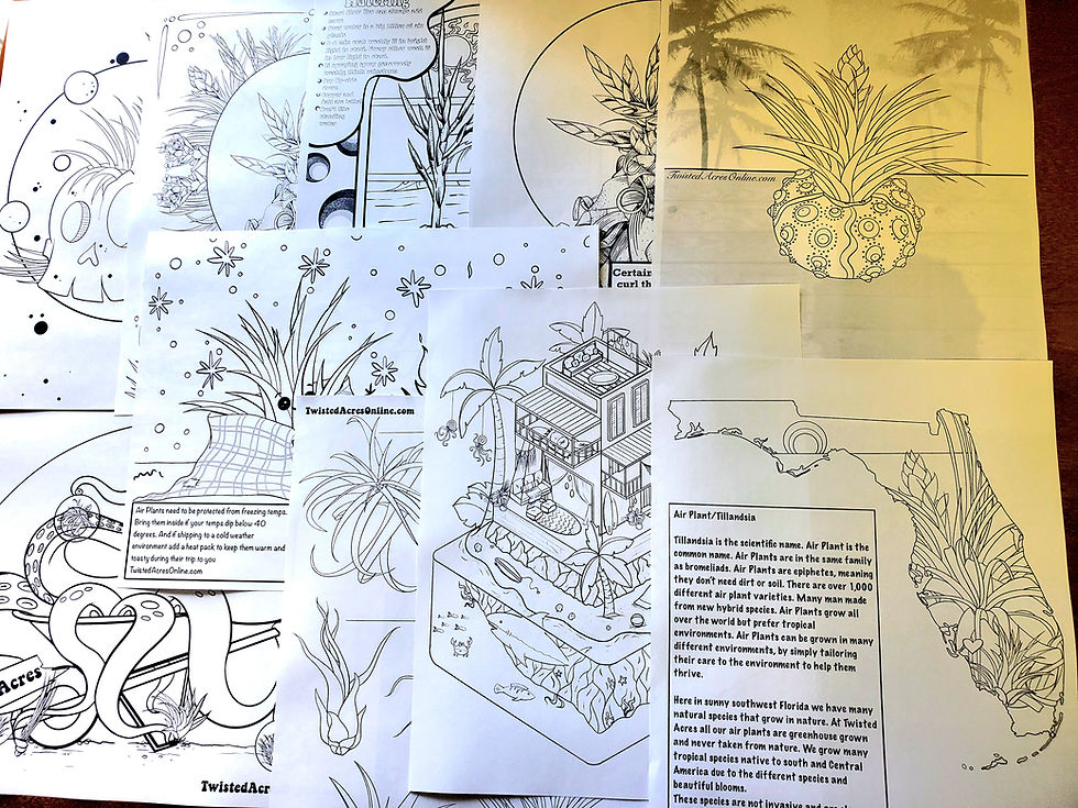 Thumbnail: Educational Air Plant Coloring Sheets Set of 10 Digital Download