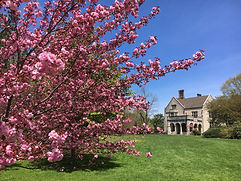 planting fields_save .jpg