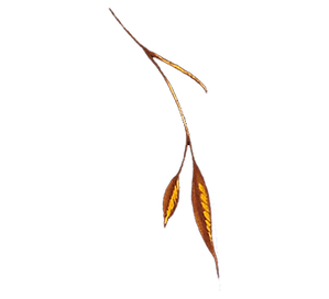 hojas ocre 3.png