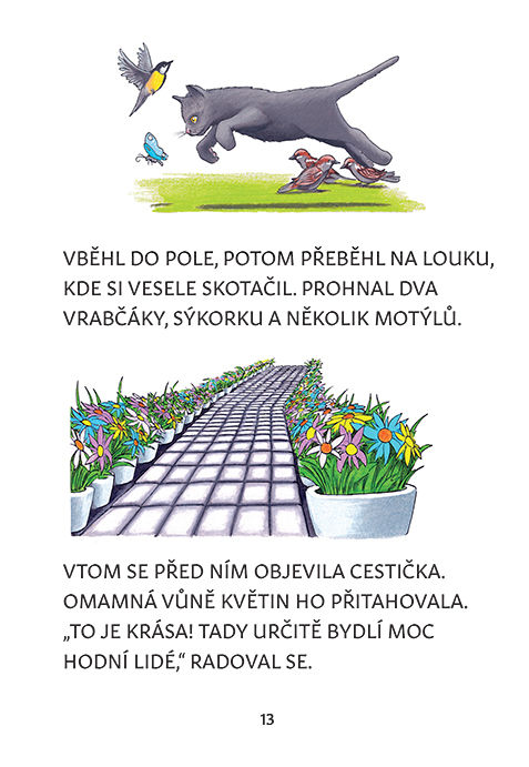 Miniatura: KOCOUREK UHLÍK A TAJEMNÁ VRATA (2. vydání)