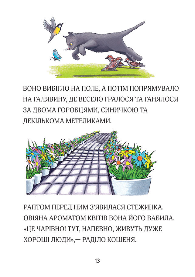 Miniatura: КОШЕНЯТКО ВУГЛИК I ТАЄМНІ ВОРОТА