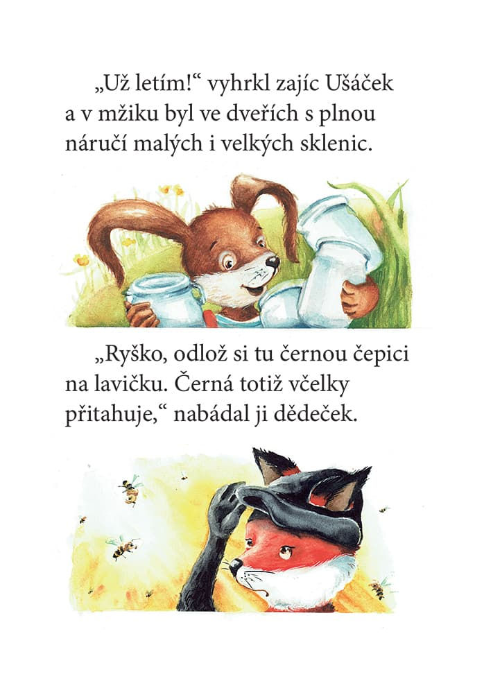 Miniatura: Kamarádi z lesa aneb s chutí do toho, půl je hotovo