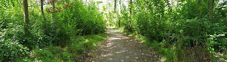 visita-campo-nudista-pileta-nudismo-desn