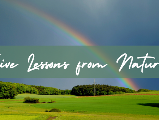 Five Lessons from Nature