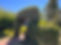 988C914B-948D-4E03-805A-78ECCD685643_edited.jpg
