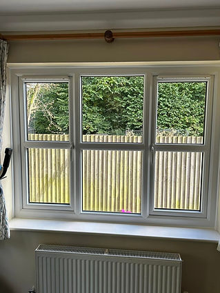 White-framed window with four panes overlooking a wooden fence and greenery