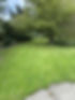Grass Cutting